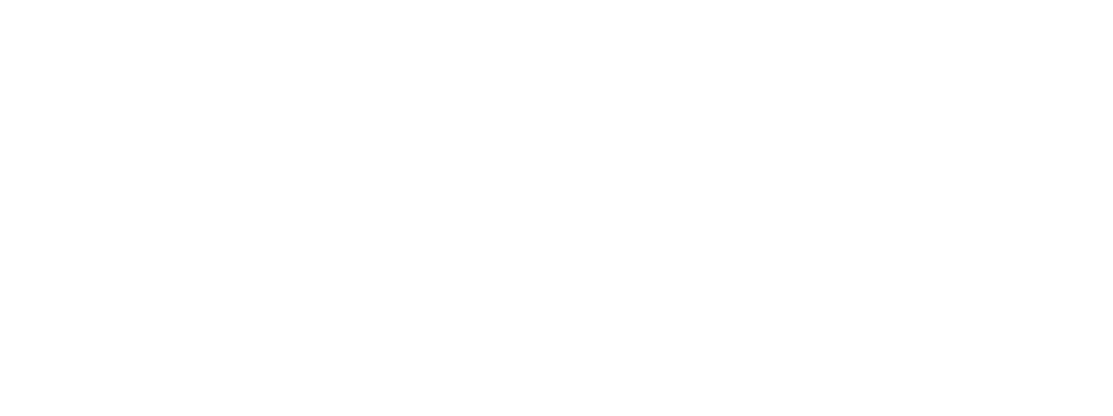 paddle logo ws 1024x383 - GDPR Google Fonts